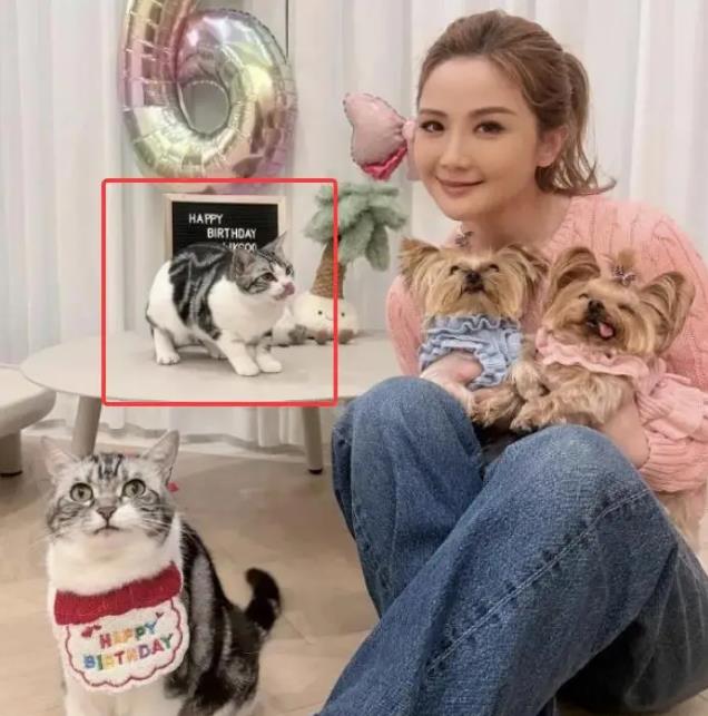  闺蜜爆料新恋情让她“眼睛发光”？原来一切早就有迹可循…… 